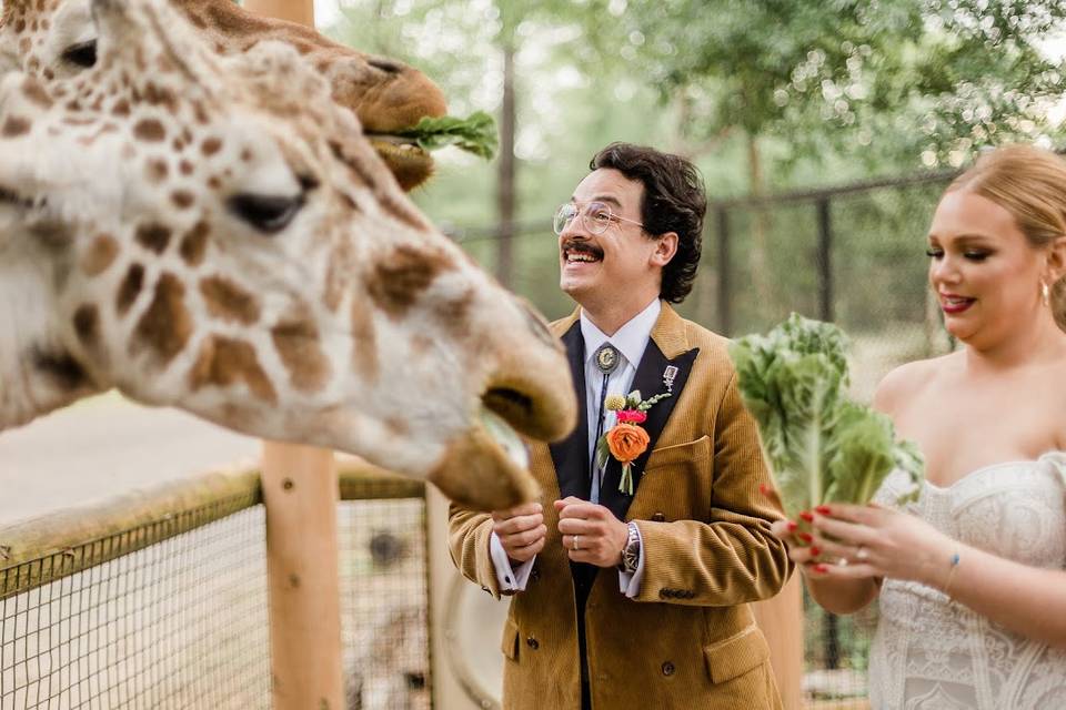 Colorful Zoo Wedding