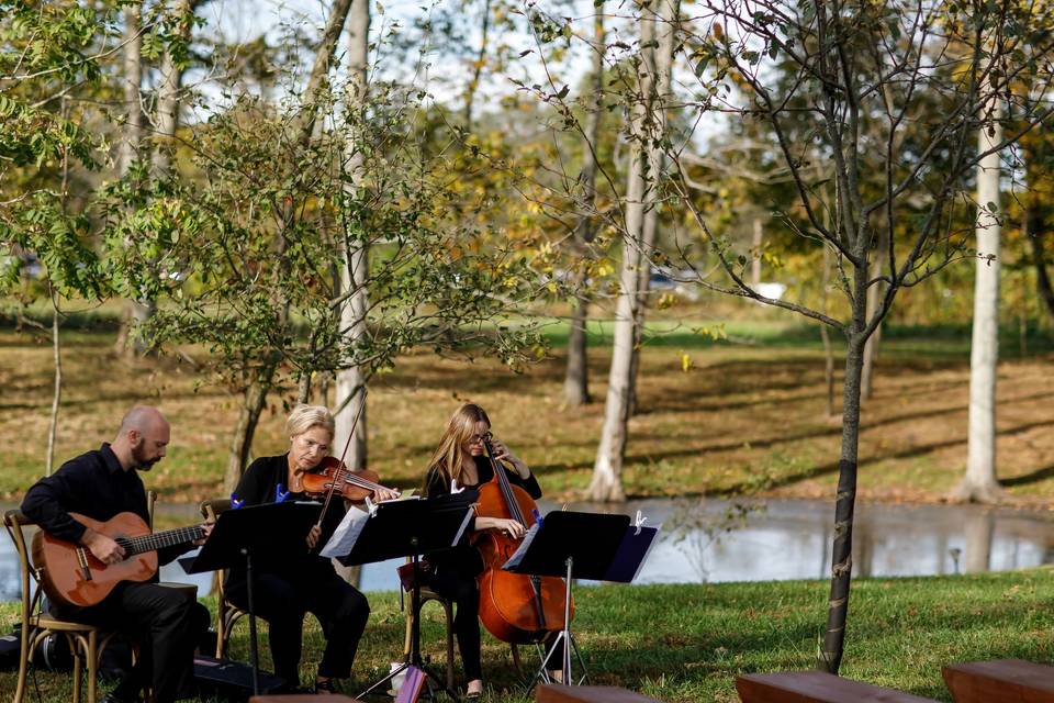 Outdoor performances