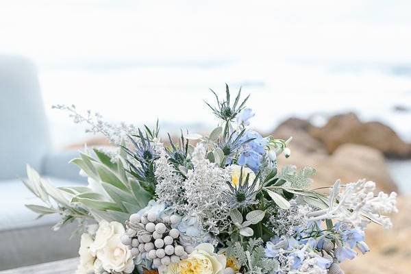 Bonny Doon Garden Company