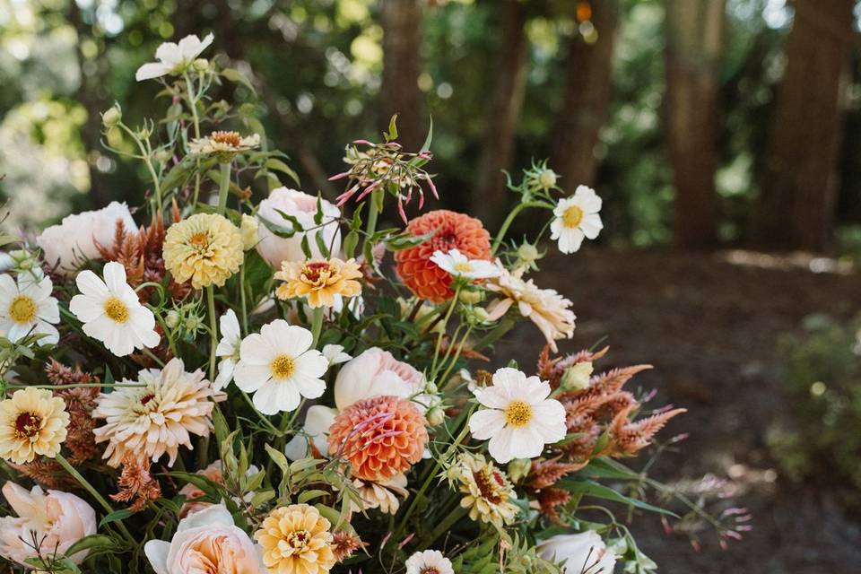Escort card arrangement