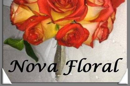 Nova Floral