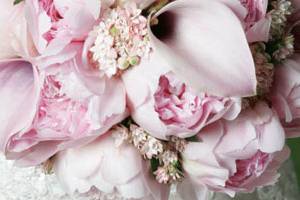 Webwood Flowers