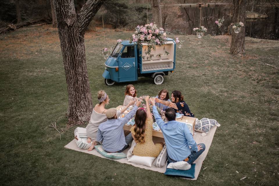 The Roving Bar