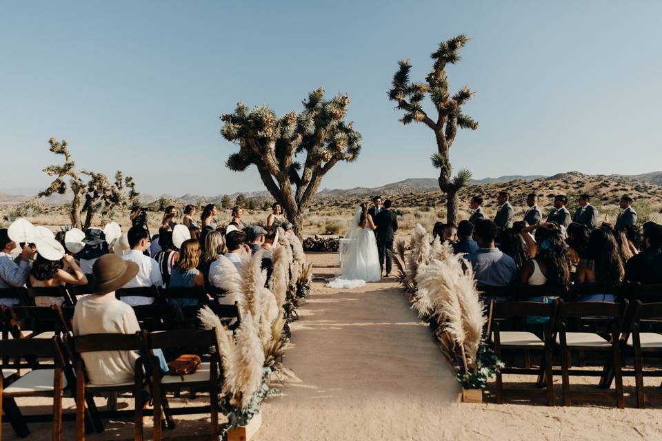 Gathered guests