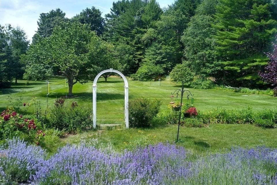 View of the Backyard