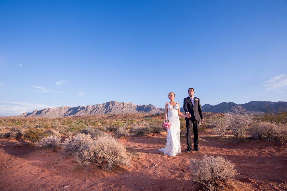 Valley of Fire Wedding