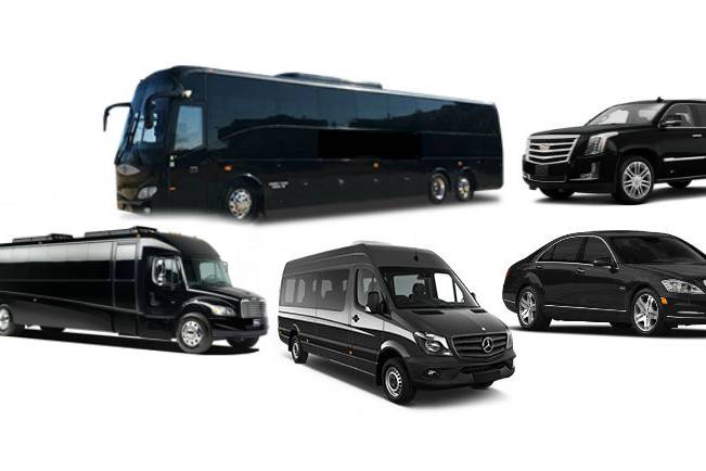 Our fleet options