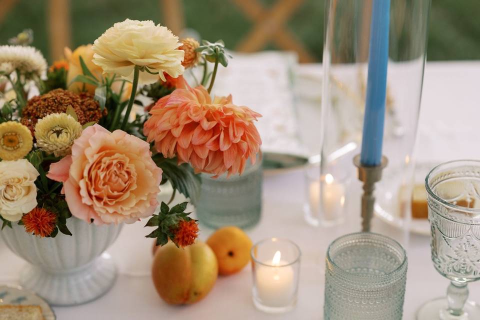 Asher Gardner Photography