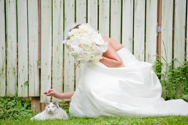 White Bouquet at Camrose Hill