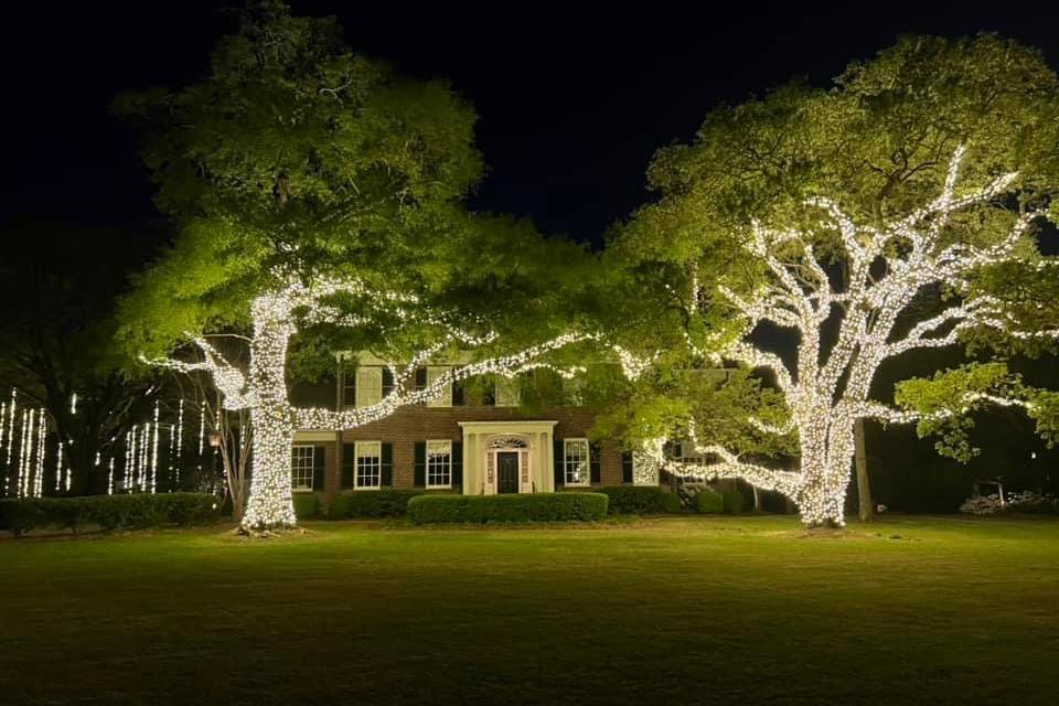 Trunk lit Oak