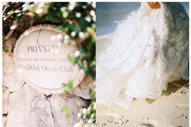 Susan Baker Photography