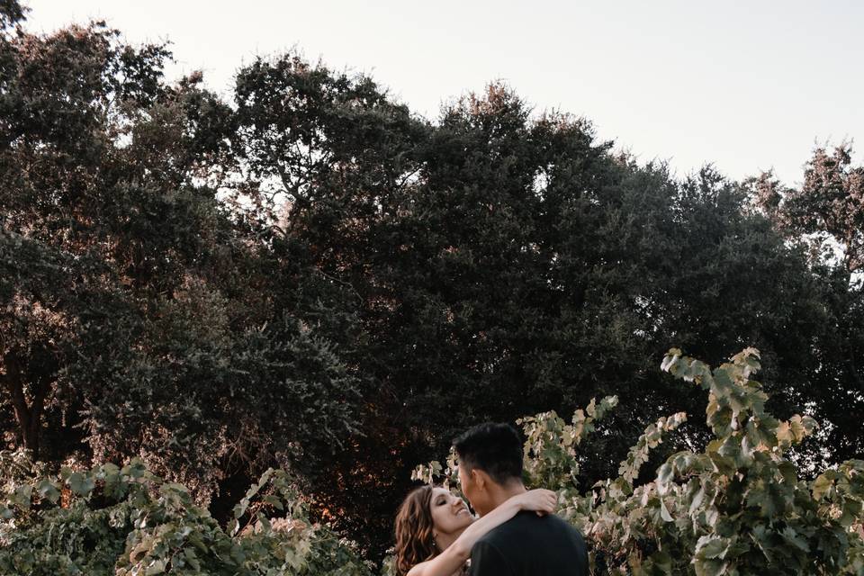 Wedding in Napa
