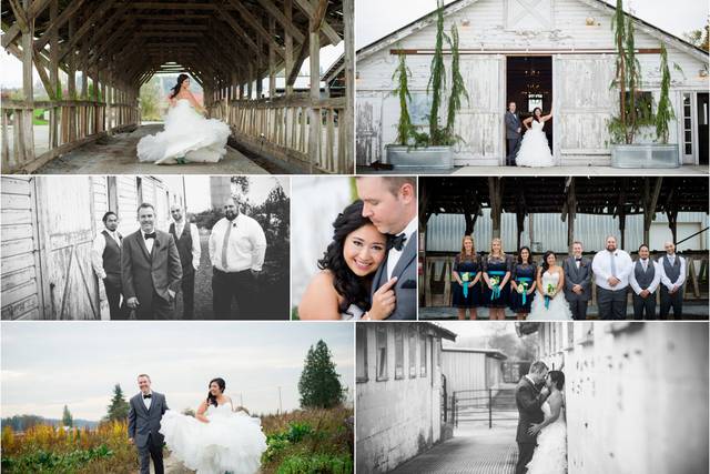 Amy Lewis Photography