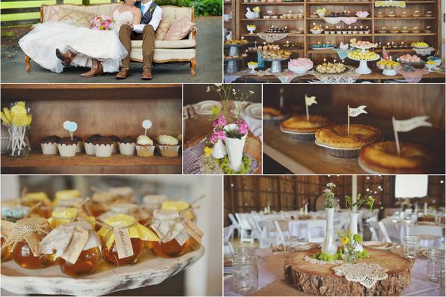 Amy Lewis Photography