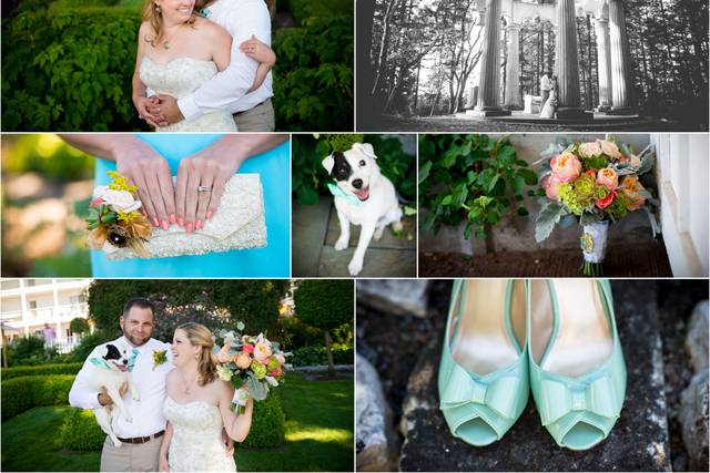 Amy Lewis Photography