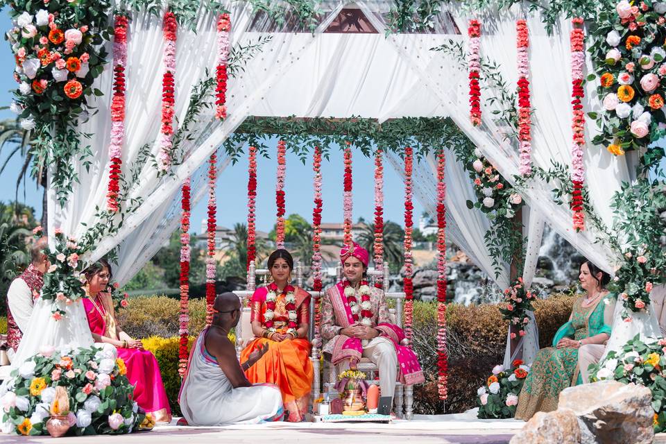 Carnations mandap