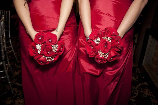 Regina Seal Photography & Design