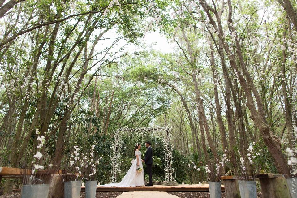 Wedding in the woods