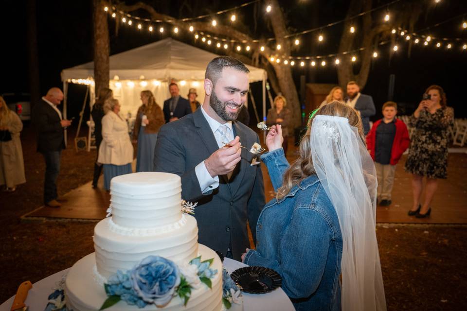 Cake Cutting