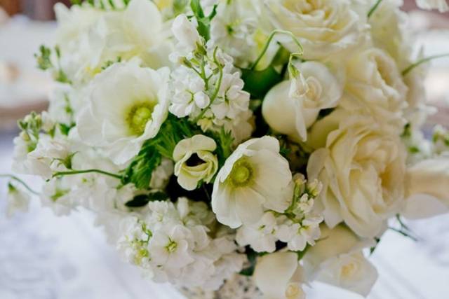Flowers & Stuff
