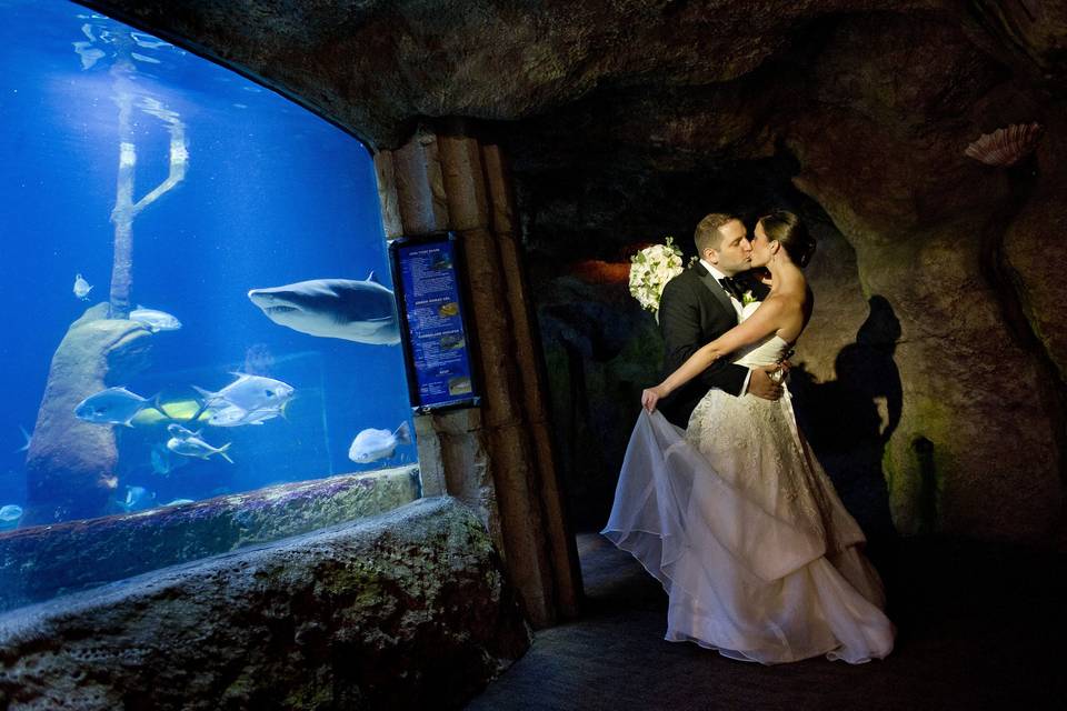 Newlyweds kissing by the shark tunnel