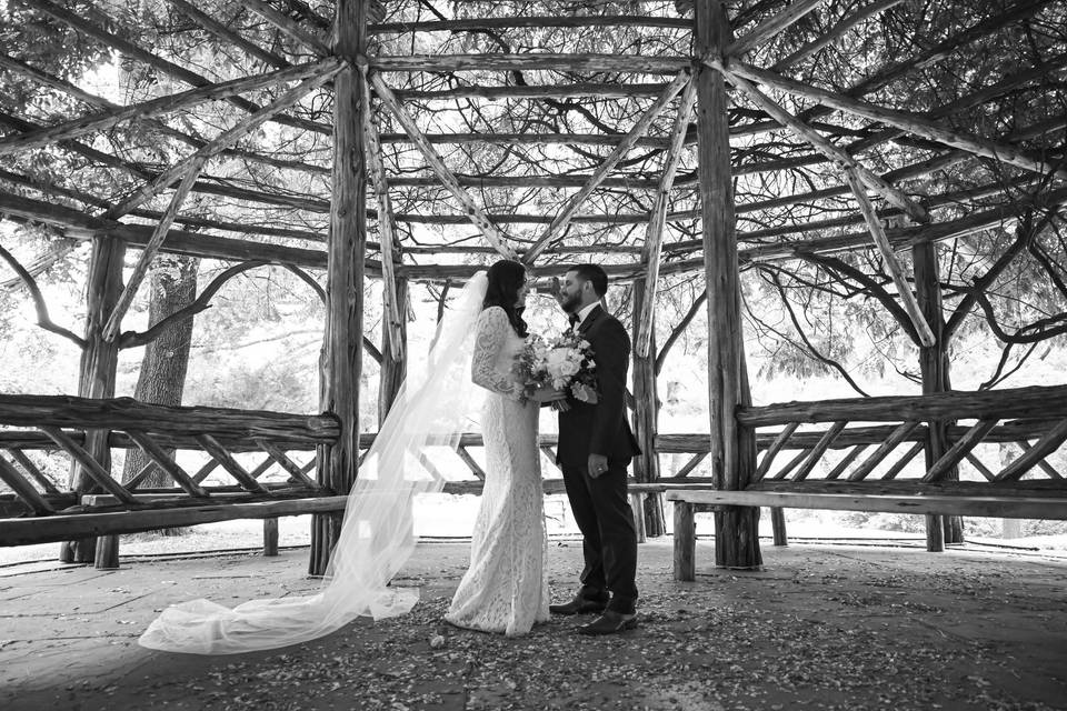 Central Park wedding