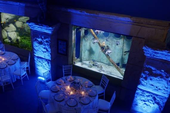 Atlantis Banquets & Events