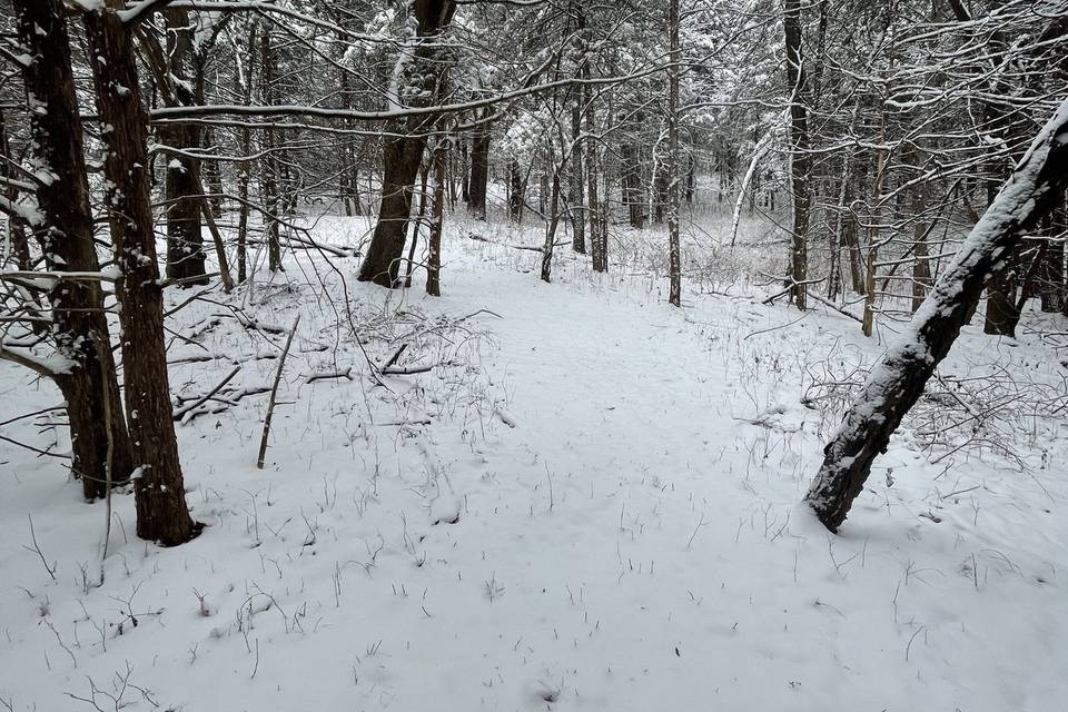 Beautiful Trails