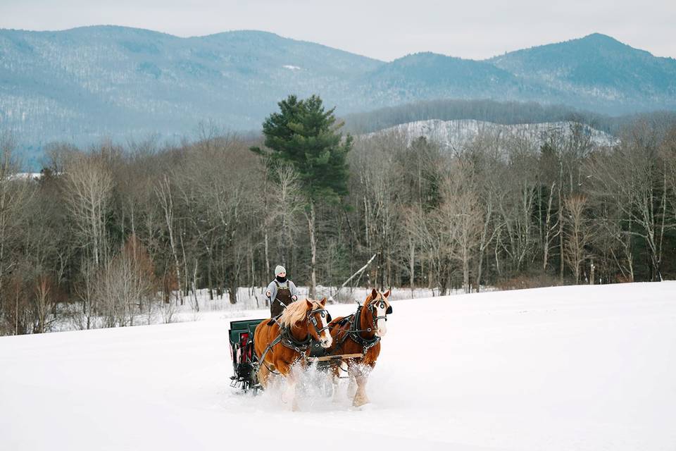 Sleigh Ride