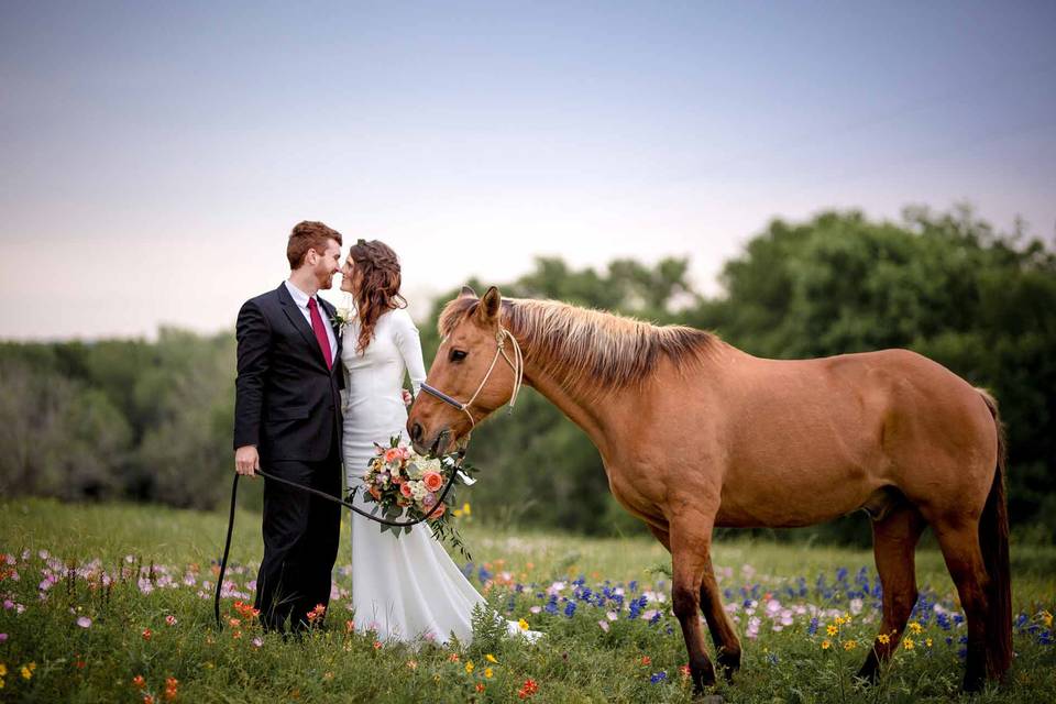 StarHill Farms