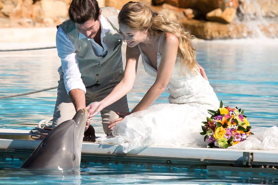 Elopement  with dolphins