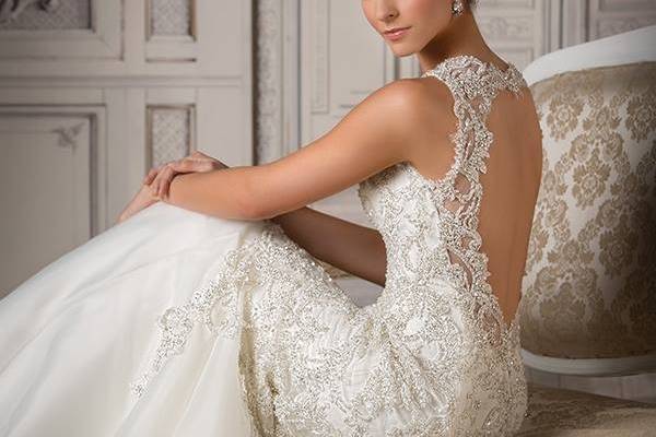 Bridal Elegance