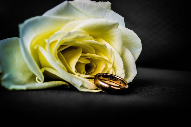 Landon Scott Photography