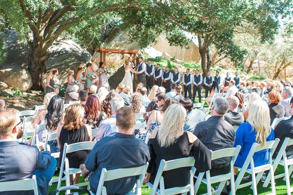 Guests seated in an outdoor reception