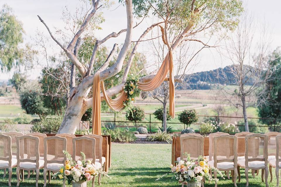 Ceremony Draping