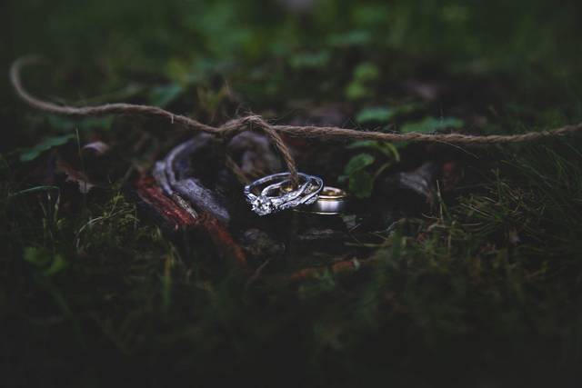 Mary Winseman Photography