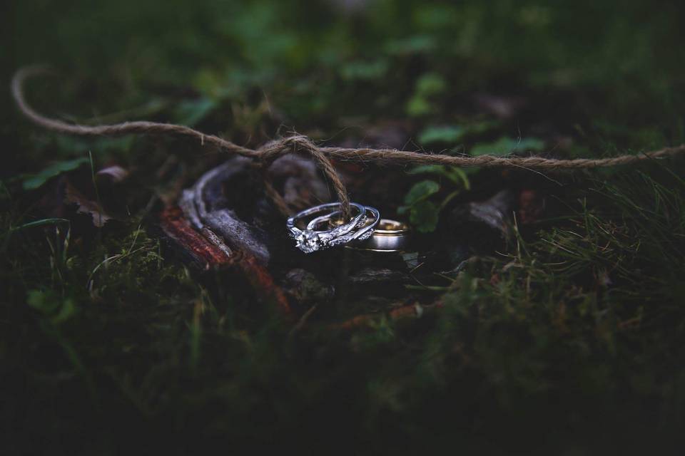 Mary Winseman Photography