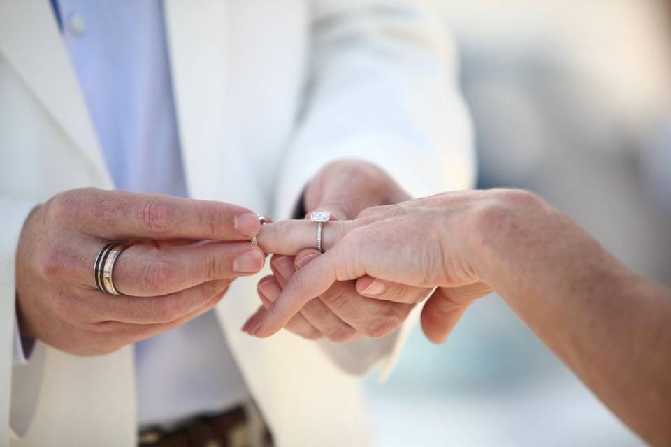 Hawaii Titanium Rings