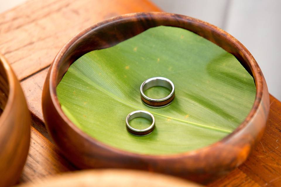 Hawaii Titanium Rings