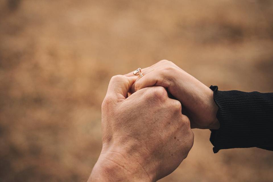 Proposal shoot