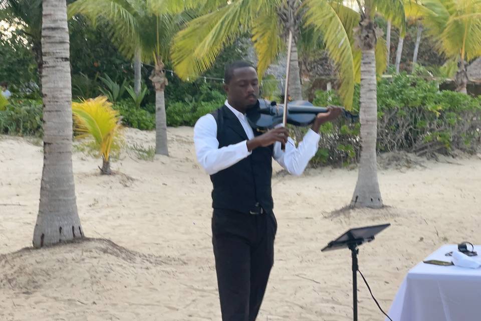 Violin Serenade Kamalame Cay