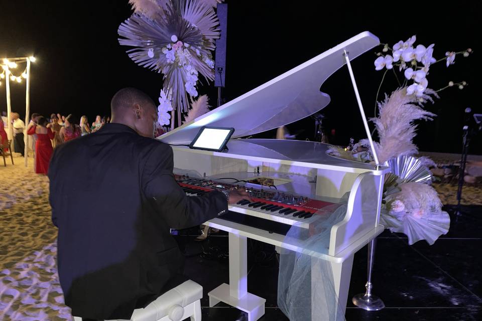 Digital Baby Grand Piano