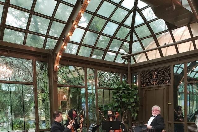 Fine Arts Strings