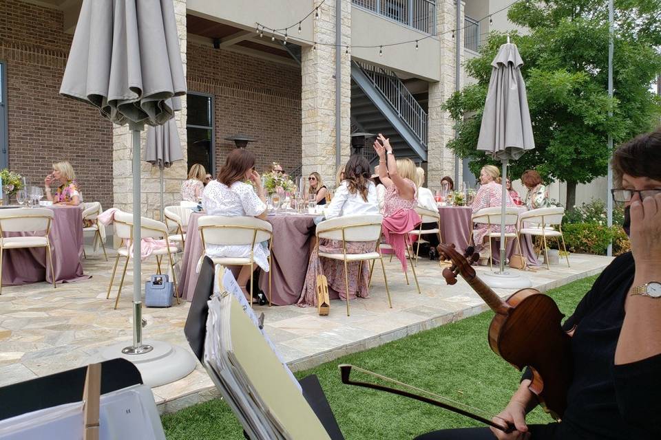 Fine Arts Strings