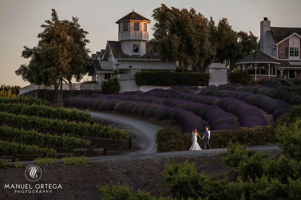 Leal Vineyards