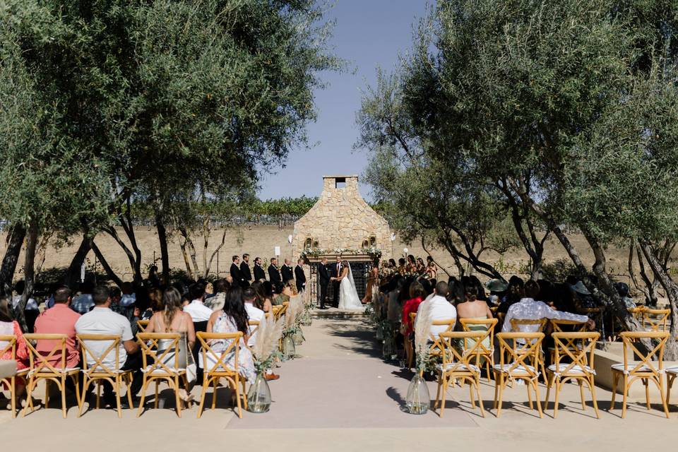 Olive Grove - Ceremony