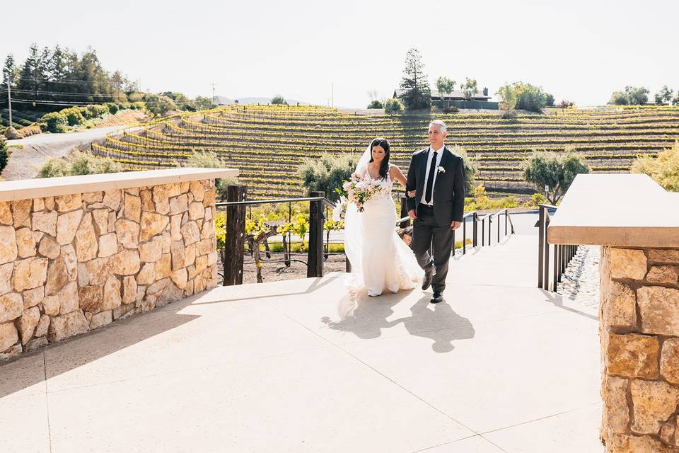 Olive Grove - Ceremony