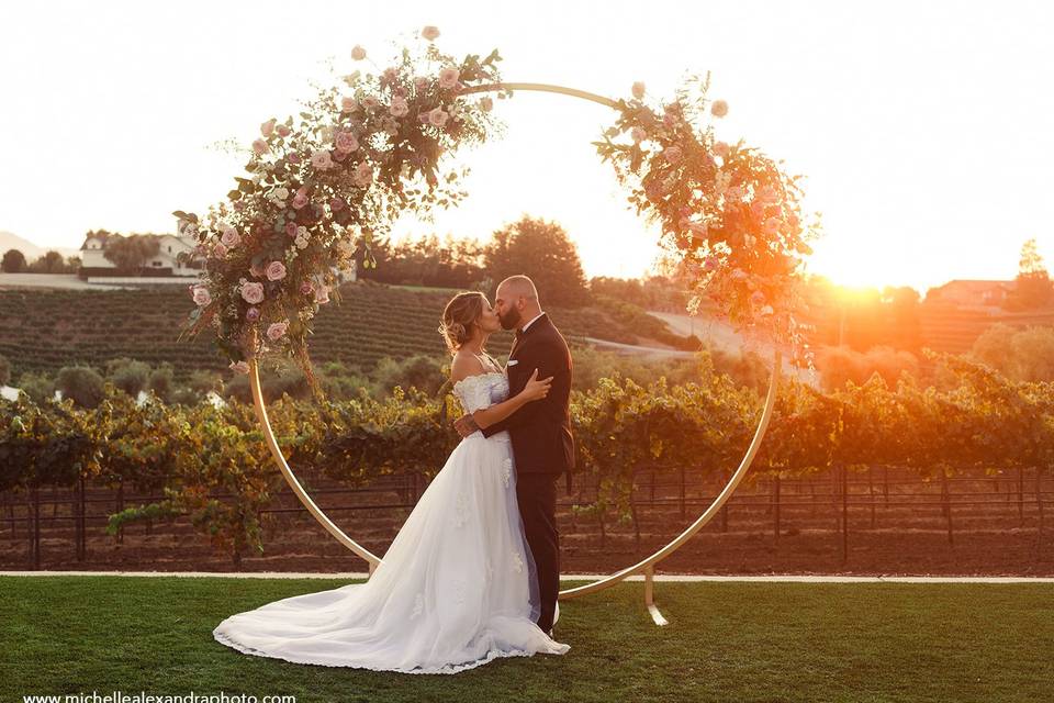 Olea with circular arbor