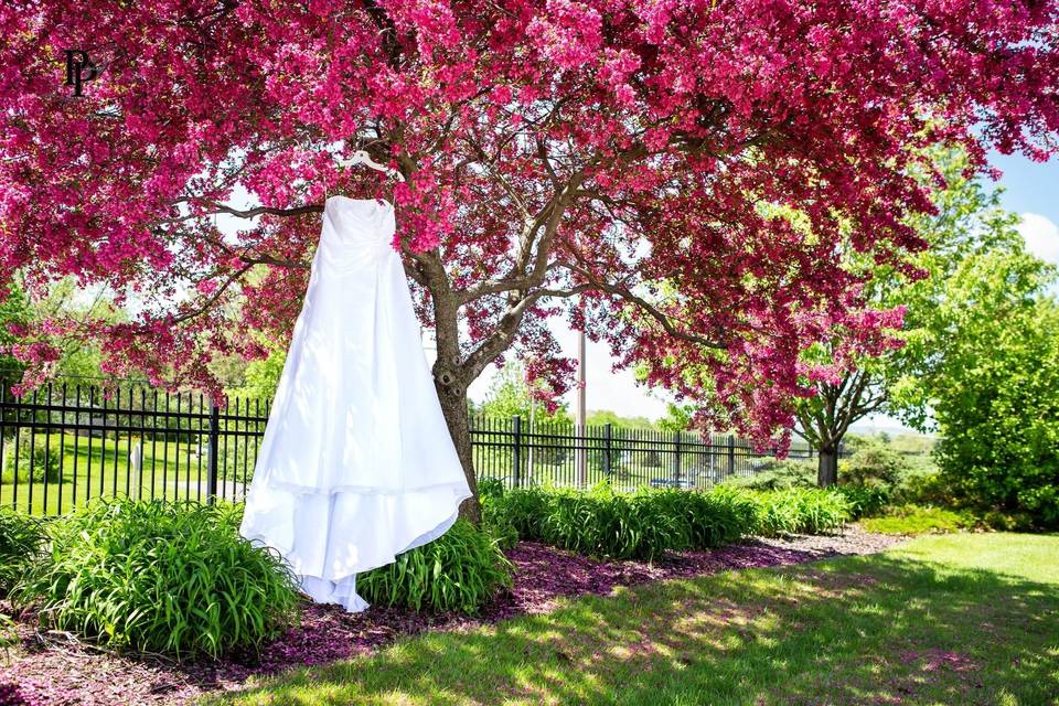 Wedding Dress & Tree