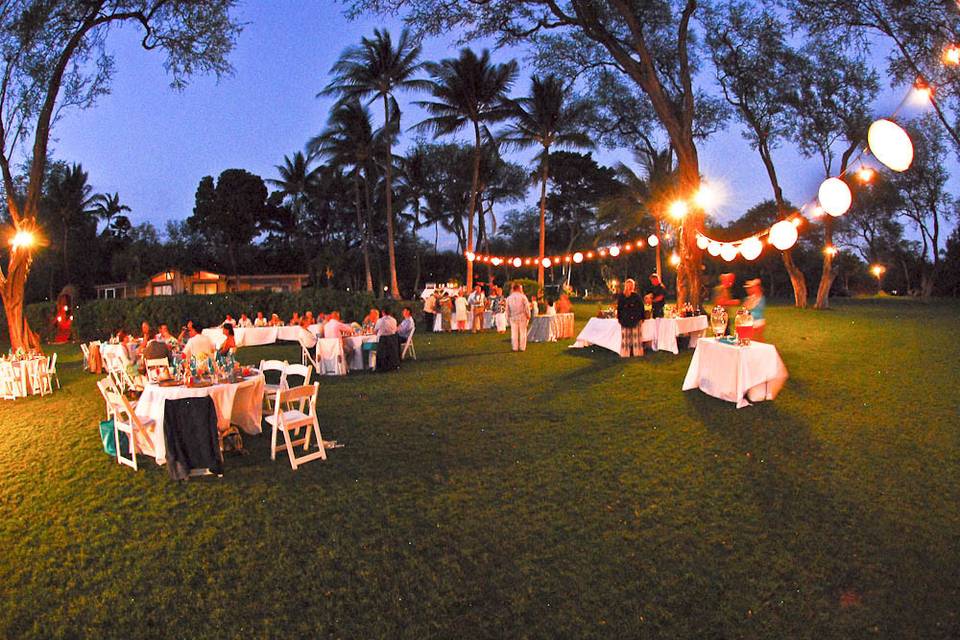 Hawaiian Island Weddings